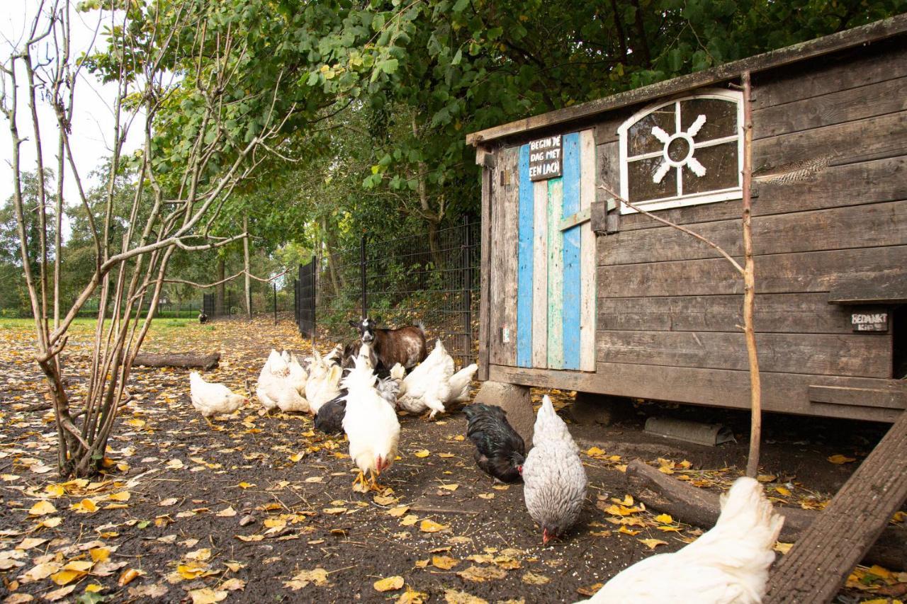 Bed & Breakfast De Appelgaard