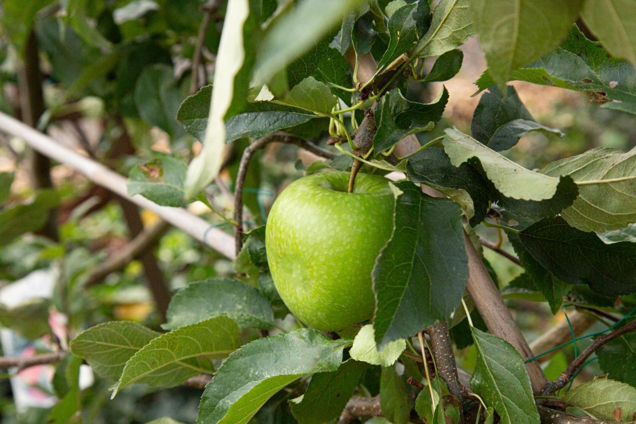 De Appelgaard Barneveld